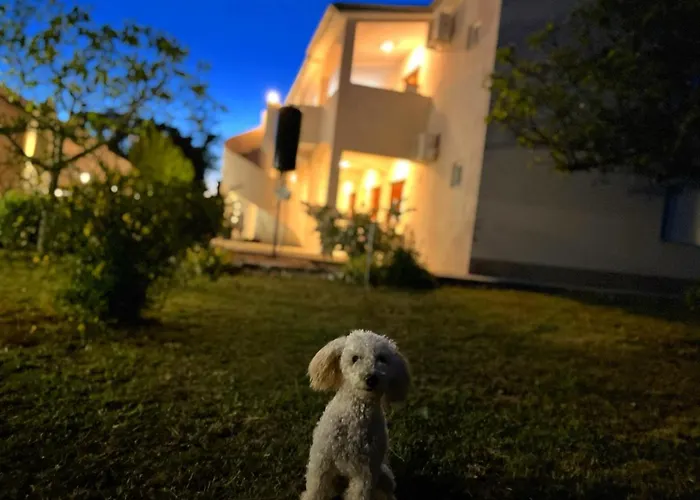 Fortuna Appartement *